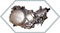 Motor 125