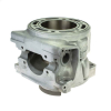 Geiwiz Zylinder für KTM 300 neu beschichtet im Austausch Kz. 54630305400