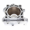 Geiwiz Zylinder für Suzuki RM-Z 250 2011-17 Kz.49H0 neu beschichtet im Austausch