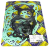 Centauro Motordichtsatz Z / 722A441FL