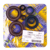 Centauro Motorwellendichtringsatz 731A600SR