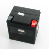 HVT-2 Batterie SLA 12V/30AH L169xB 131xH 174 (YTX30L)