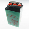 Yuasa B49-6  6V/8AH DIN00811 Dry-Batterie
