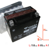 Yuasa YTX12-BS DIN51012 12V/10AH AGM-Batterie 150x87x130mm