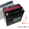 Yuasa YTX16-BS-1 DIN51491 AGM Batterie 150x87x161mm