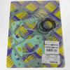 Centauro Motordichtsatz / 682A251FL