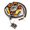 Geiwiz Lichtmaschine Stator für Peugeot Jetforce, Speedfight 3, Ludix, Vivacity 08-