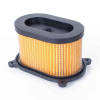 Geiwiz Luftfilter Einsatz für Hyosung GT 125, 250, 650, Aquila 650