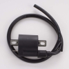 Extreme Voltage EV120 Zündspule - 1 Pin - 12V