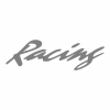 Racing Style Aufkleber (Abziehfolie) Racing 30cm, silber matt 2St.