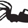 Quattroerre Aufkleber Spider schwarz