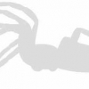 Geiwiz Aufkleber Spider silber