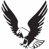 Geiwiz Aufkleber Eagle schwarz