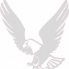 Geiwiz Aufkleber Eagle silber