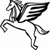 Geiwiz Aufkleber Schwarz für Pegasus