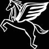 Geiwiz Aufkleber Weiß für Pegasus