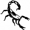 Quattroerre Aufkleber Scorpion schwarz