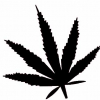 Geiwiz Aufkleber Hemp schwarz