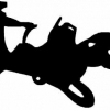 Geiwiz Aufkleber Nac Whip schwarz