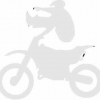 Geiwiz Aufkleber Rodeo silber