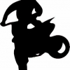 Geiwiz Aufkleber Whip schwarz