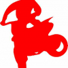 Geiwiz Aufkleber Whip rot