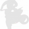 Geiwiz Aufkleber Whip silber
