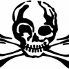 Quattroerre Aufkleber Skull schwarz