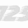 Geiwiz Aufkleber 125 ccm silber