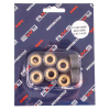 RMS 14 Gr. Variatorrollenkit 20x12 8PZ