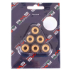 RMS 13 Gr. Variatorrollenkit 18x14 6PZ