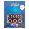 RMS 31 Gr. Variatorrollenkit 24x18 6PZ