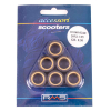 RMS 8,5 Gr. Variatorrollenkit 20X12 6PZ
