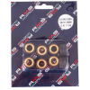 RMS 11,56 Gr. Variatorrollenkit 20X12 8PZ