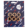 RMS 23 Gr. Variatorrollenkit 23X18 6PZ