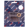 RMS 17,25 Gr. Variatorrollenkit 26X13 8PZ