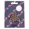 RMS 6,2 Gr. Variatorrollenkit 16X13 6PZ