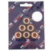 RMS 10 Gr. Variatorrollenkit 16X13 6PZ