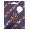 RMS 5,2 Gr. Variatorrollenkit 17X12 6PZ