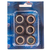 RMS 29 Gr. Variatorrollenkit 25X22 6PZ