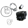 RMS Blue Line - Originalzylindernachbaukit LC für Minarelli Motoren - 100080111