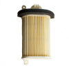 Geiwiz Luftfilter für Yamaha T-MAX 500 ?01-07 Vergl. Nr. 5GJ-15407-01 links