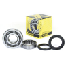 ProX Kurbelwellenlager u. Dichtringset für CRF250R '06-17 + CRF250X