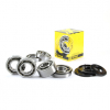 ProX Kurbelwellenlager u. Dichtringset für XL1200LTD \'98-01 + GP1200