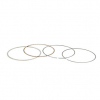 ProX Kolbenringset für CRF250R \'18-19 (79.00mm)