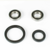 ProX Radlager Set für CRF250X/CRF450X \'04-17