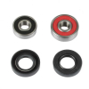 ProX Radlager Set für KX65 \'00-20 + KX80/85/100 \'98-20