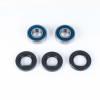 ProX Radlager Set für LT-F250 Ozark \'02-14