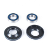 ProX Radlager Set für Moto TM 250/250F/300 \'05-06