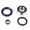 ProX Radlager Set für TRX420 \'07-13